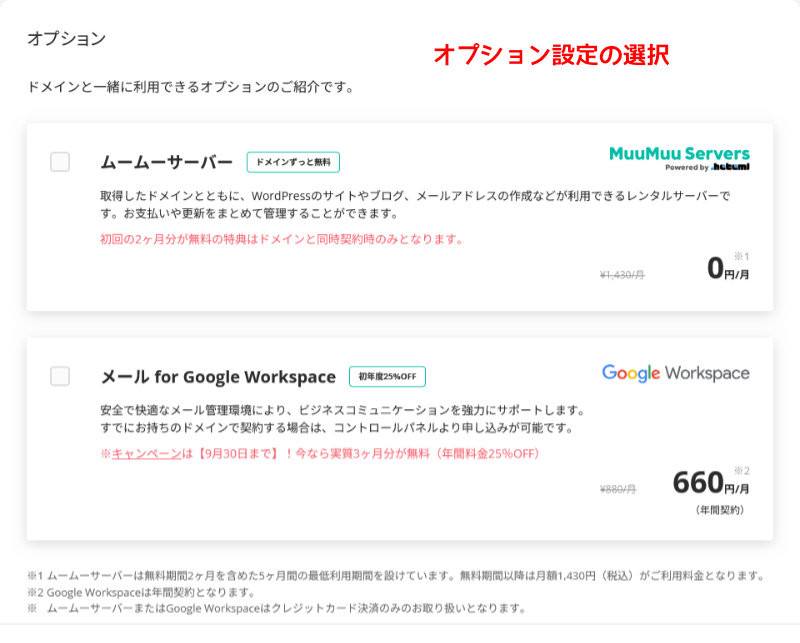 ドメイン申込み設定画面（オプション設定）